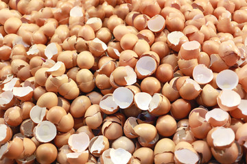 pile eggshell.