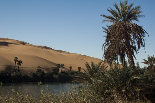 Oasi dei laghi Ubari del deserto libico

