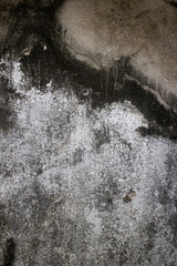 Vertical close up detail (#2) of old colonial era wall in Southe