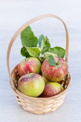 Organic Apples in a Basket