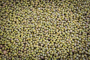 Green beans background