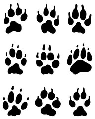 Black print of wolf's paw, vector