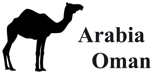 Vector Camel Arabia Oman
