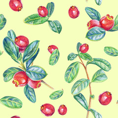 Seamless pattern with cranberry. Drawing with colored pencils.