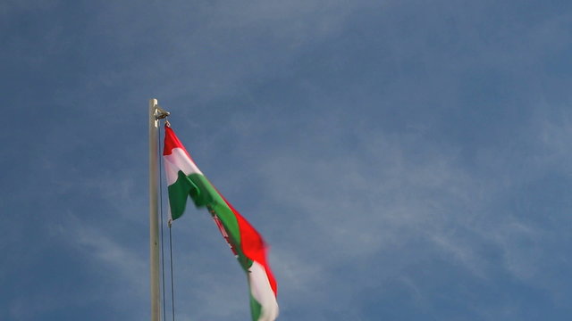 Hoist a Hungary flag
