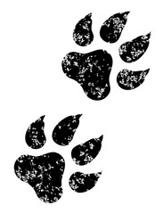 animal paw print