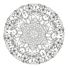 exquisite mandala pattern design