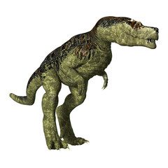 Tyrannosaurus Rex