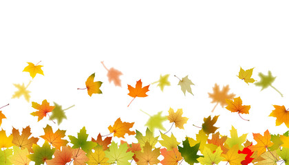 Obraz premium Horizontal seamless pattern of autumn leaves, vector illustration.