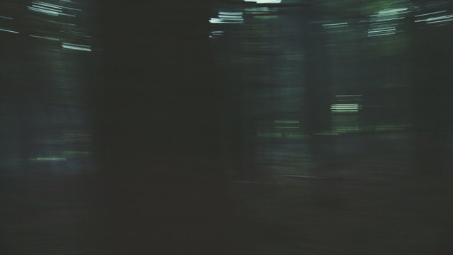 OV - Fear and confusion in a dark forest.