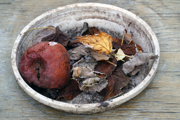rotten apple with leaves in a bowl
