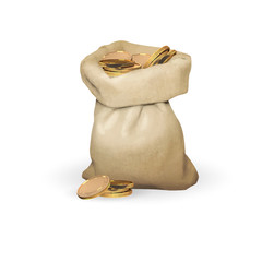 bag of gold coins money vector