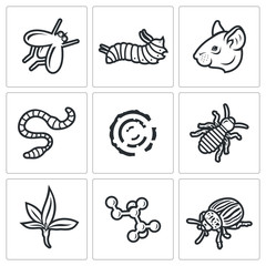 Parasites icons set. Vector Illustration.