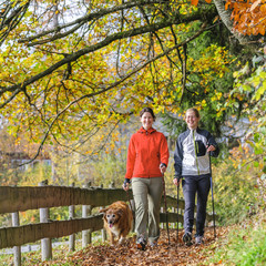 gutgelaunte Walkerinnen in herbstlicher Natur