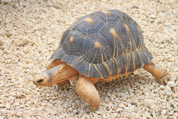 Zoo de Paris Vincennes