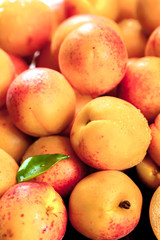 Apricot. Organic fruits with leaf on wooden background