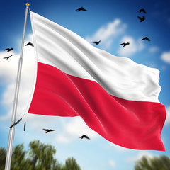 Flag of Poland
