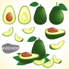Set of avocado in various styles vector format
