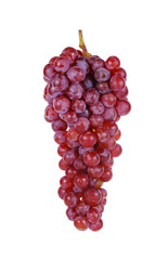 grapes isolated on  white background