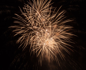 Obraz premium Fireworks in the night sky