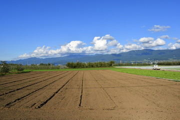 信州の田園風景
