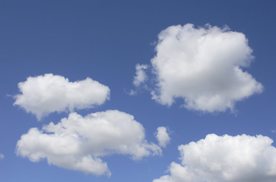 Cumulus Cloudscape