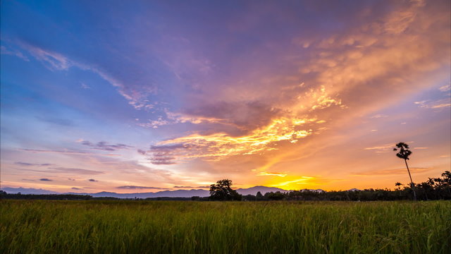 Timelapse day to night with colorful sky over rice field at Songkhla,Thailand