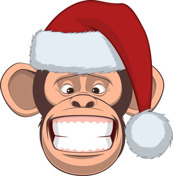 Head chimpanzee in a cap