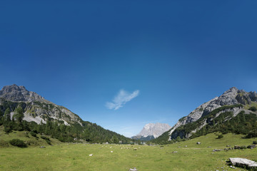 green mountain meadow panorama in tyrol with blue sky