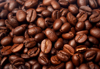 Obraz premium Coffee Bean Background