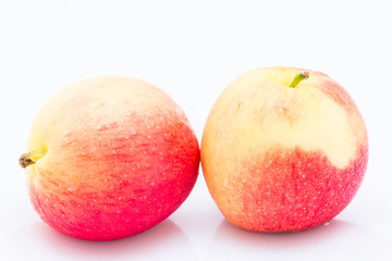 Close up Jazz Apple on a white background