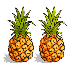 Pineapple 001