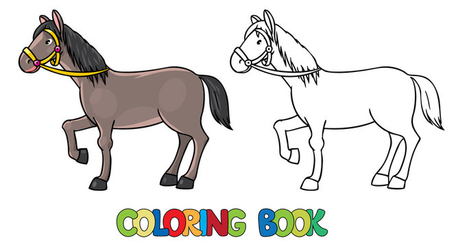 Funny horse. Coloring book