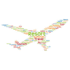 Naklejka premium Concept or conceptual colorful plane silhouette travel tourism text word cloud