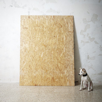 Blank wooden natural frame and littel dog 