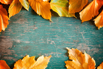 Autumn Leaves Banner