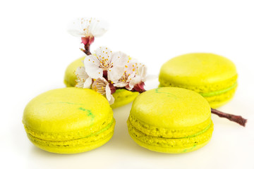 Yellow macaroons isolated on white, selective focus