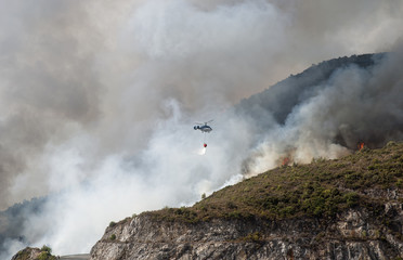 Incendio forestal en el monte