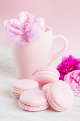 Pastel pink macaroons and tea cup with rose