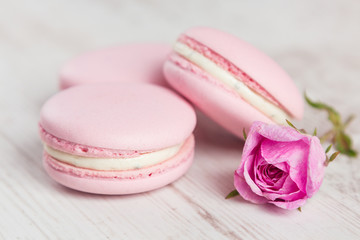 Pastel pink macaroons with rose, pastel colored