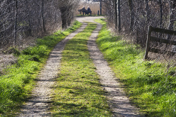 Fototapeta premium Rural farm road