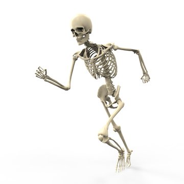 3D running skeleton isolated on white background