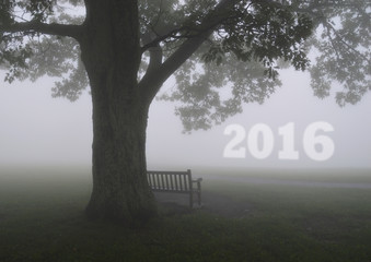 2016 in Fog