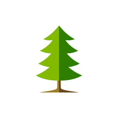 Minimalist Stylized Evergreen Pine Tree Illustration - Aesthetic Touch for Growth, Forest and Nature Themes