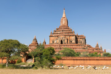 Fototapeta na wymiar Myanmar (Burma), Bagan, Sulamani Pahto temple