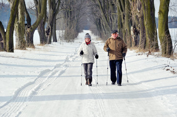 Nordic walking - 91433175