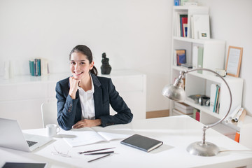 Portrait of a smiling successful middle age businesswoman with d