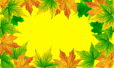 Fototapeta premium Falling autumn leaves