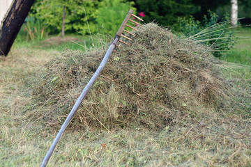 Fototapeta premium rakes hay field landscape