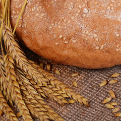 Fresh bread with ears a rye